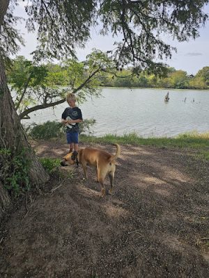 Flat Rock Park Dog Run - Kerrville, TX