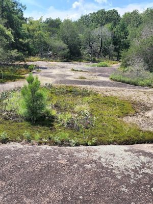 40 Acre Rock Heritage Preserve