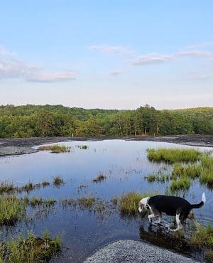 40 Acre Rock Heritage Preserve
