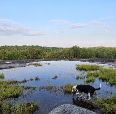 40 Acre Rock Heritage Preserve
