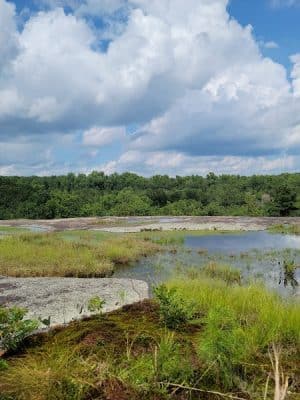 40 Acre Rock Heritage Preserve