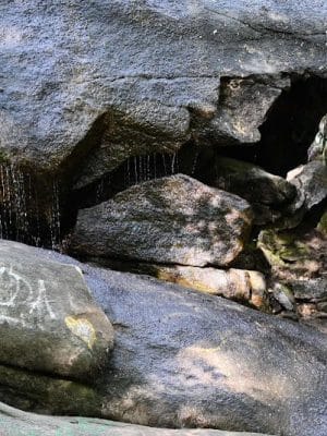 40 Acre Rock Heritage Preserve