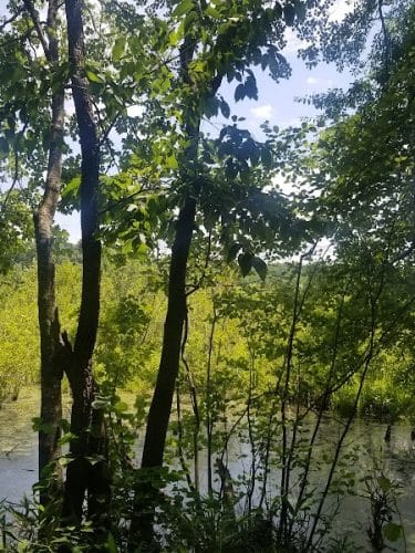 40 Acre Rock Lower Parking