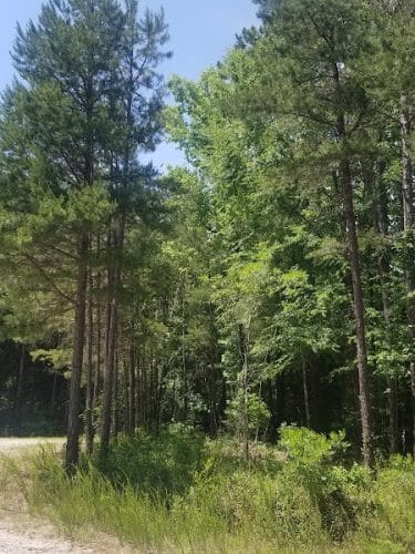 40 Acre Rock Lower Parking