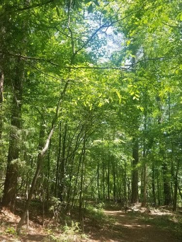 40 Acre Rock Lower Parking