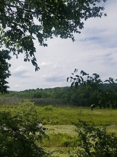 40 Acre Rock Lower Parking