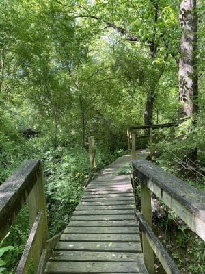 40 Acre Rock Lower Parking
