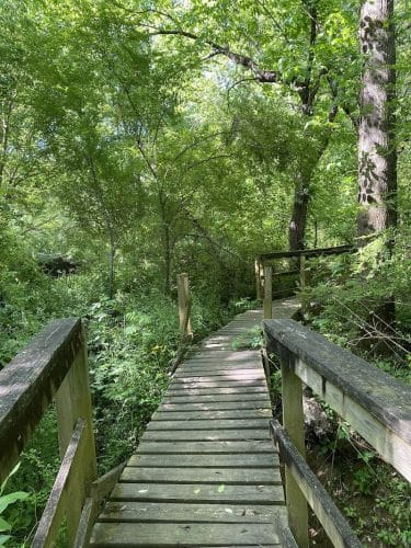 40 Acre Rock Lower Parking