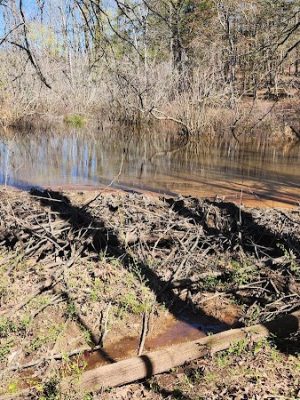 40 Acre Rock Lower Parking