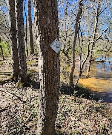 40 Acre Rock Lower Parking