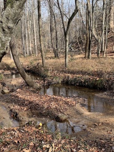 40 Acre Rock Upper Parking