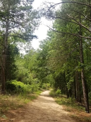 40 Acre Rock Upper Parking