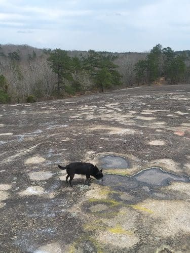 40 Acre Rock Upper Parking