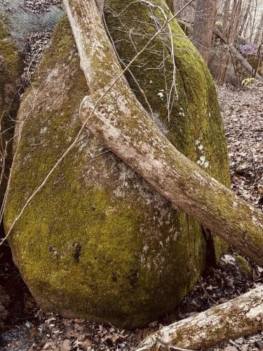 40 Acre Rock Upper Parking