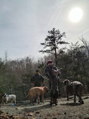 40 Acre Rock Upper Parking