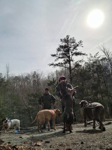 40 Acre Rock Upper Parking