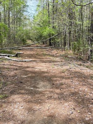 Hanging Rock Trailhead