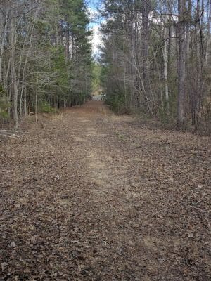 Hanging Rock Trailhead
