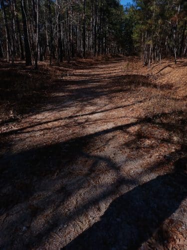 Trailhead to Lower Parking Area
