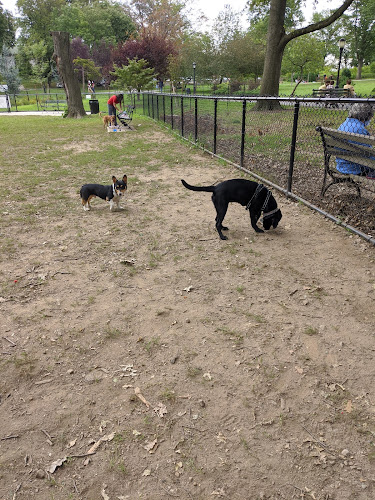 Forest Park Barking Lot