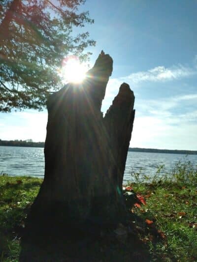 Birch Lake Park - Kewadin,