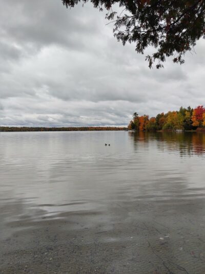 Birch Lake Park - Kewadin,