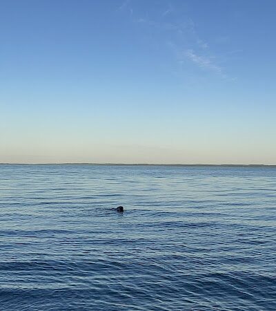 Torch Bay Nature Preserve - Kewadin,