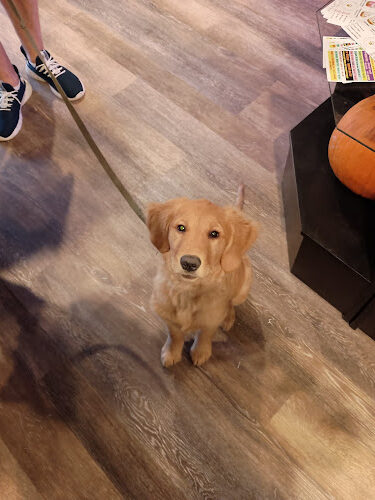 Smokey's Doggy Cafe
