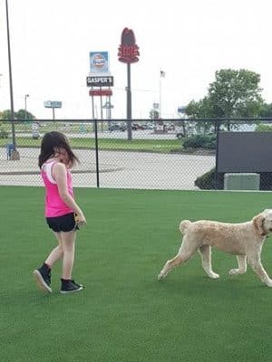 FastLane Pup Park - Kingdom City, MO