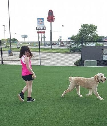 FastLane Pup Park - Kingdom City, MO
