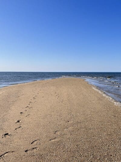 Kings Park Bluff - Kings Park, NY