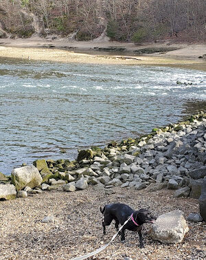 Sunken Meadow State Park