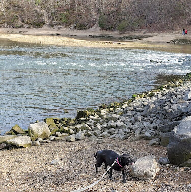 Sunken Meadow State Park