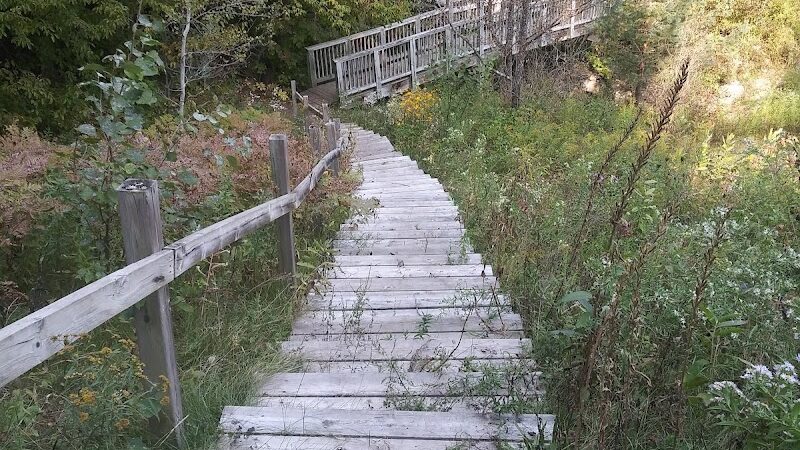 Mayfield Pond Park - Kingsley,