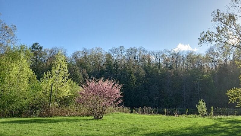 Mayfield Pond Park - Kingsley,
