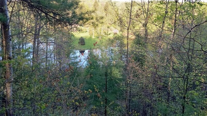 Mayfield Pond Park - Kingsley,