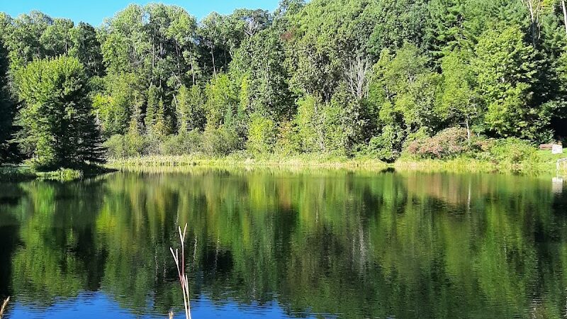 Mayfield Pond Park - Kingsley,