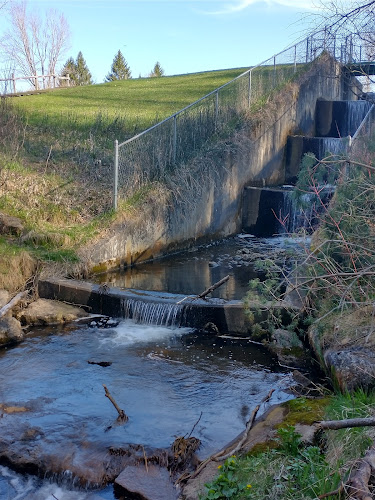 Mayfield Pond Park