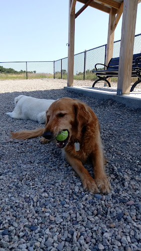 Boneyard Dog Park