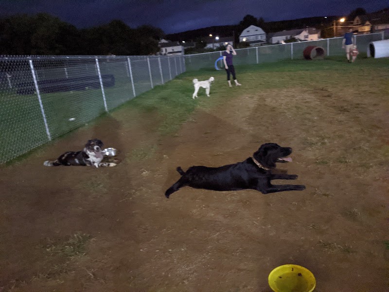 Kingston Dog Park - Kingston, PA