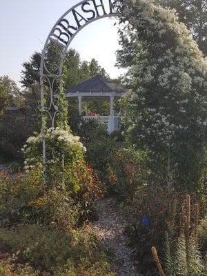 Brashear Park
