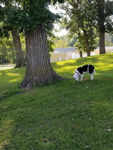 McKinney Bark Park