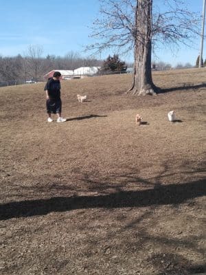 McKinney Bark Park