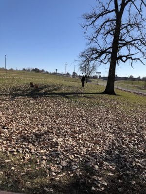 McKinney Bark Park