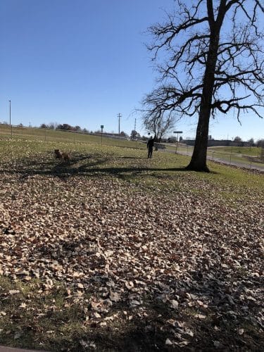 McKinney Bark Park