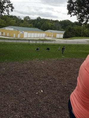 McKinney Bark Park