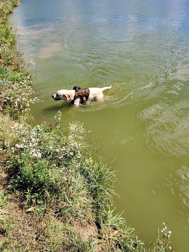 Canine Meadow - Dog Park - Kirtland, OH