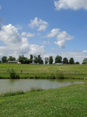 Canine Meadow - Dog Park
