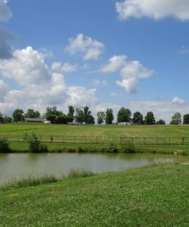 Canine Meadow - Dog Park
