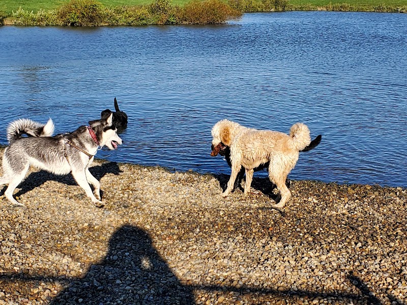 Canine Meadow - Dog Park - Kirtland, OH